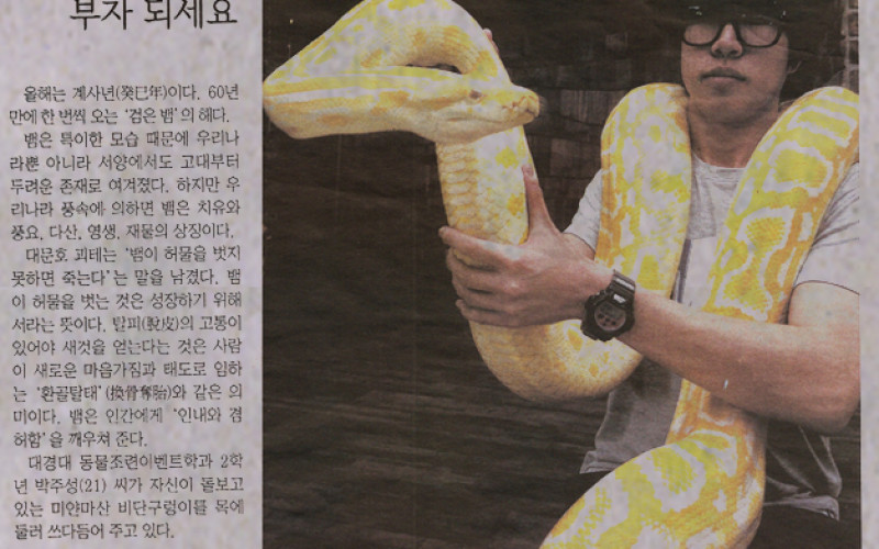 풍요ㆍ다산ㆍ재물 뱀 상징처럼 부자 되세요