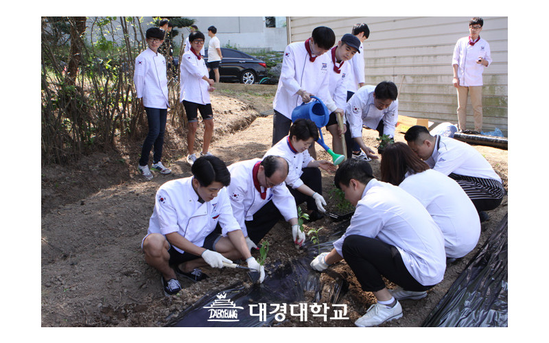 대경대 캠퍼스에 유기농 식재료 재배“ 신선한 음식 드시러 오세요”