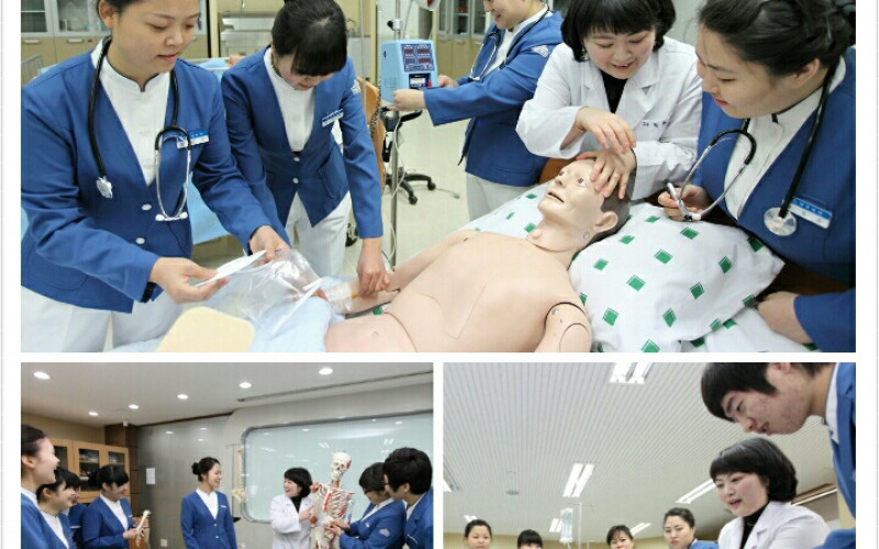 대경대 간호학과, 제56회 국가고시에 7년 연속 100% 합격