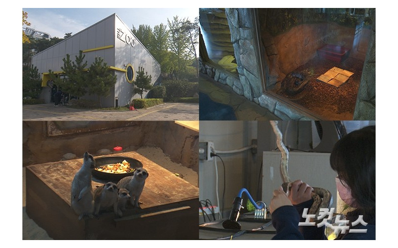 대경대학교 반려동물 교육, 휴먼을 품다 - 동물사육복지과