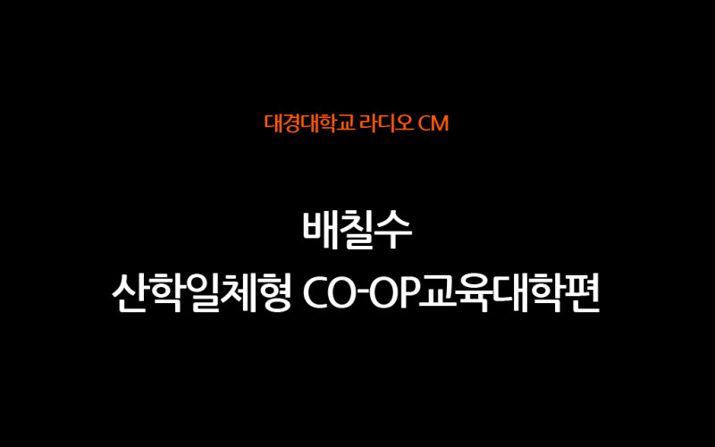 RA-CM 2006[20초] 배칠수_산학일체형Co-op교육대학편