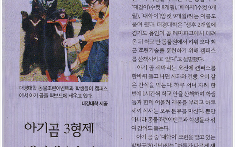 아기곰 3형제 대경대 ‘명물’로