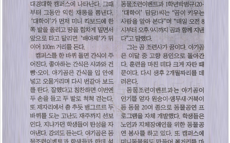 보드타고 강의 듣는 아기곰 3형제