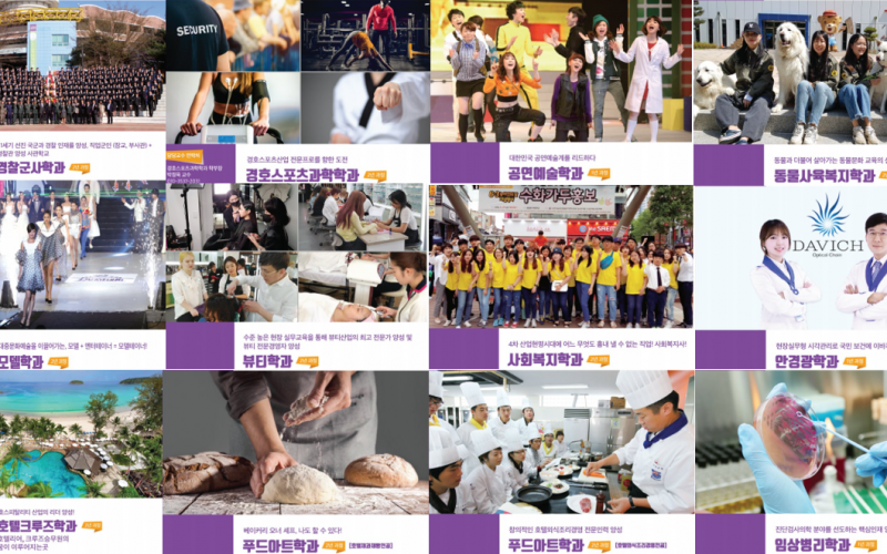 대경대, 학사학위 전공심화과정 운영진단 결과 “S, A” 최고 등급 선정